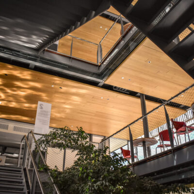 9Wood 3100 Acoustic Plank at 	Lane Community College, Eugene, Oregon. Robertson Sherwood Architects.