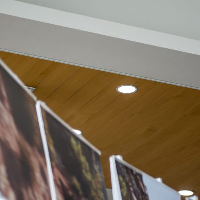 9Wood 2600 Flush Joint Linear at the Lithia Toyota of Springfield, Oregon. Ronald Grimes Architects.