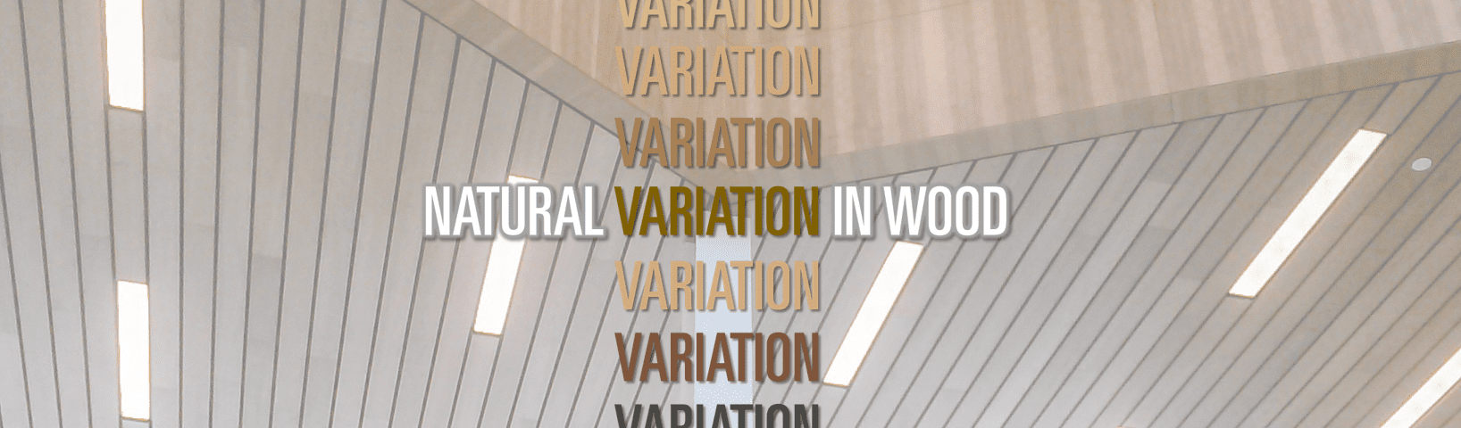 Natural Variation in Wood becomes especially noticed with wood ceilings. Since wood ceilings already draw your eye, the variation across panels, planks, or wood members.